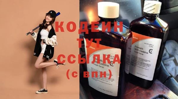 молекула духа Карпинск