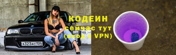 молекула духа Карпинск