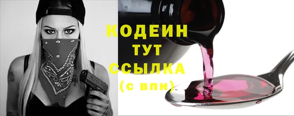молекула духа Карпинск