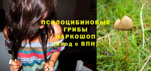 apvp Карталы