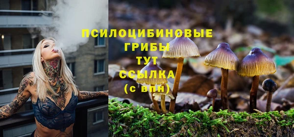 apvp Карталы